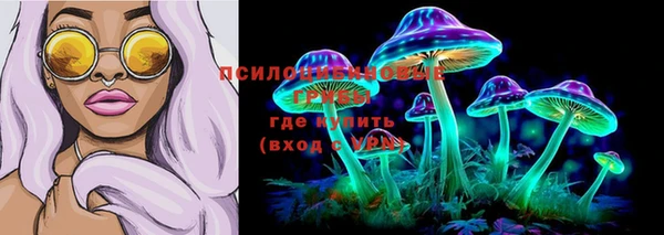 PSILOCYBIN Володарск